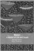 Water: A Matter of Life and Death (Interface: A Forum for Theology in the World)