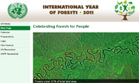 International Year of Forests, 2011 