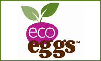 eco eggs - Announces the First 100% Renewable Easter Eggs